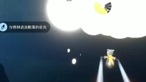 在雨林追逐散落的星光2