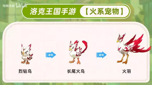洛克王国世界辅助宠物怎么选