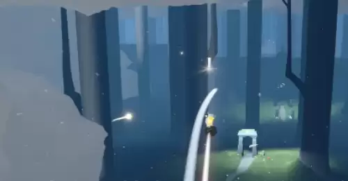 在雨林追逐散落的星光1