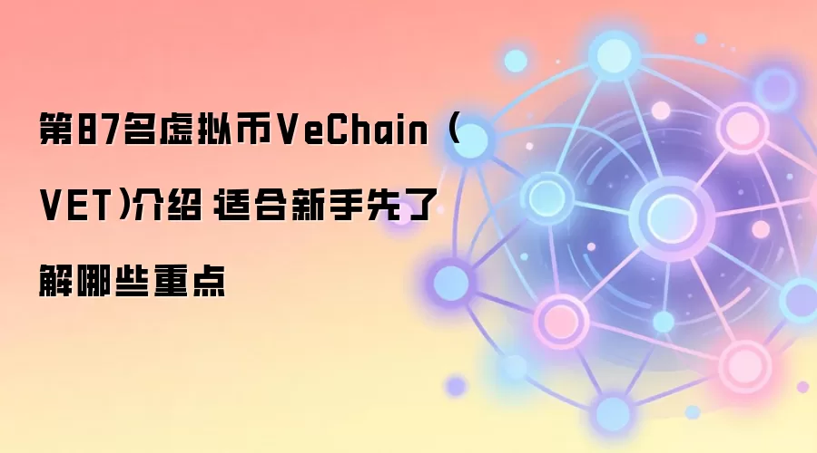 第87名虚拟币VeChain（VET）介绍：适合新手先了解哪些重点