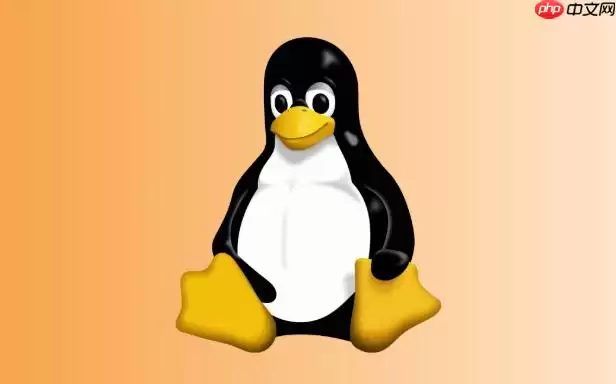 Linux怎么查看网络连接的PID Linux下netstat -p命令详解