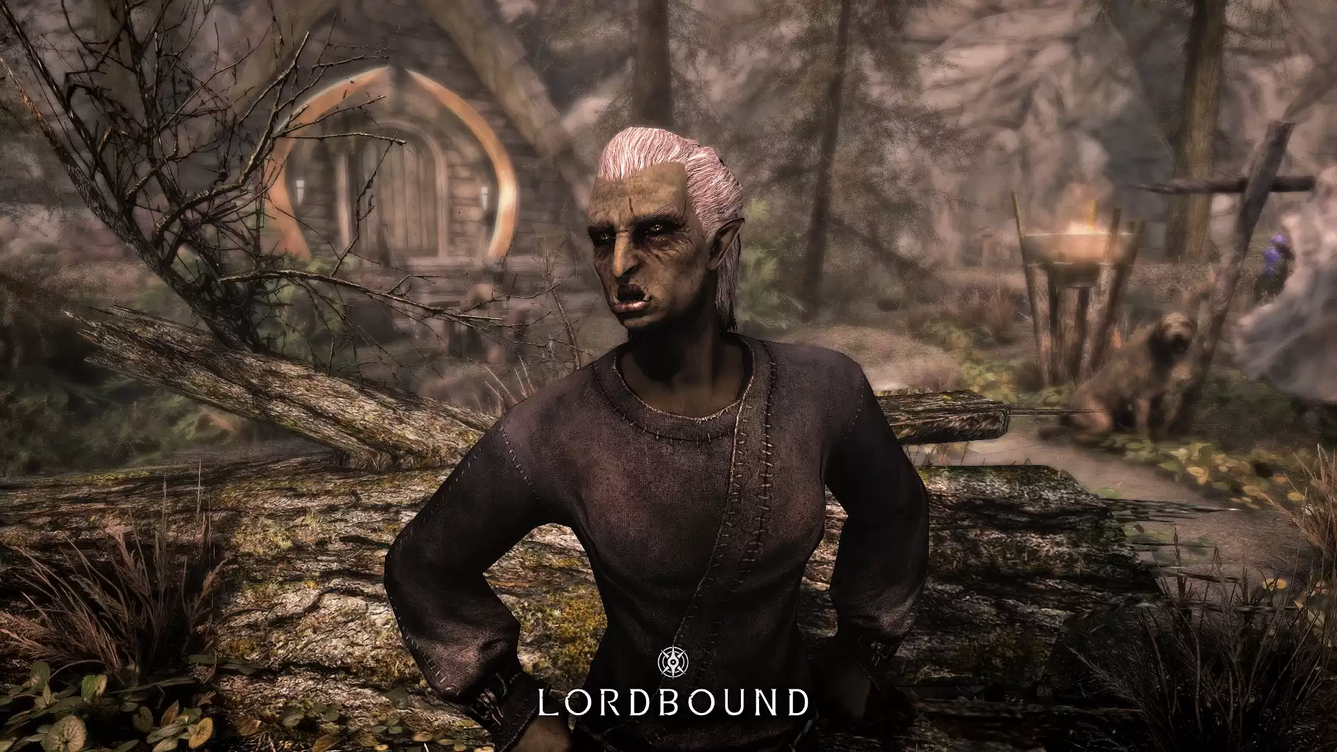 《上古卷轴5》神级MOD“Lordbound”公开：拥有系列最大主线剧情