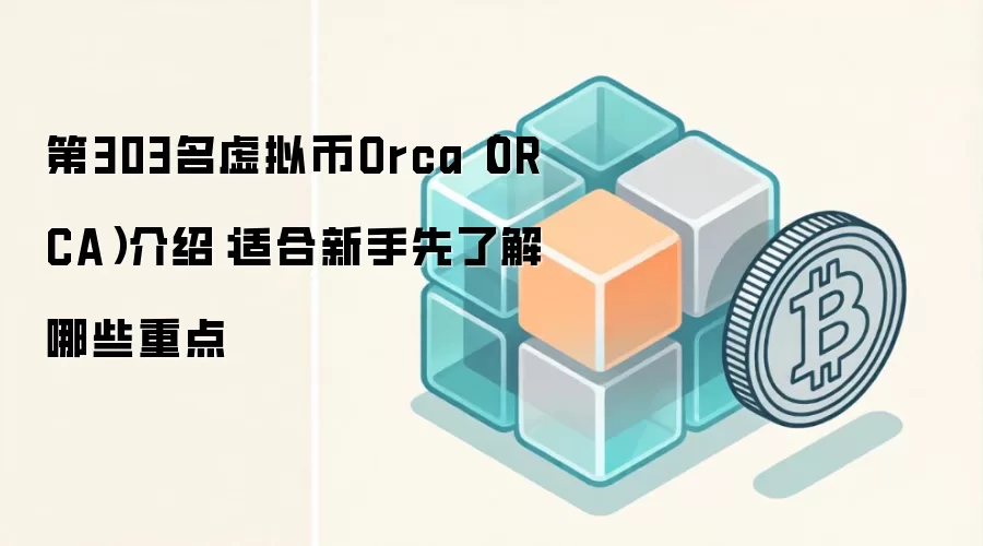 第303名虚拟币Orca（ORCA）介绍：适合新手先了解哪些重点