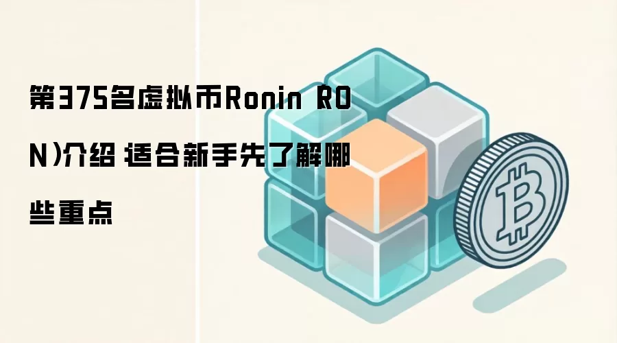 Ronin公链深度解析：新手入门必须掌握的核心要点