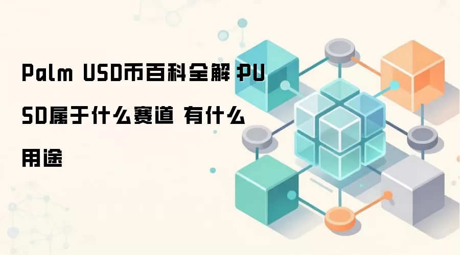 Palm USD币百科全解：PUSD属于什么赛道 有什么用途