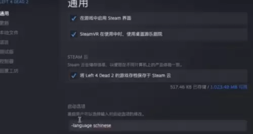 求生之路2中文设置教程2