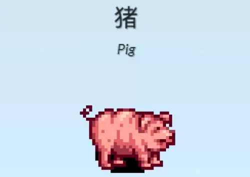 小猪介绍