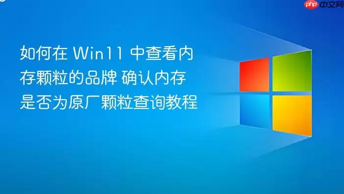 如何在 Win11 中查看内存颗粒的品牌 确认内存是否为原厂颗粒查询教程