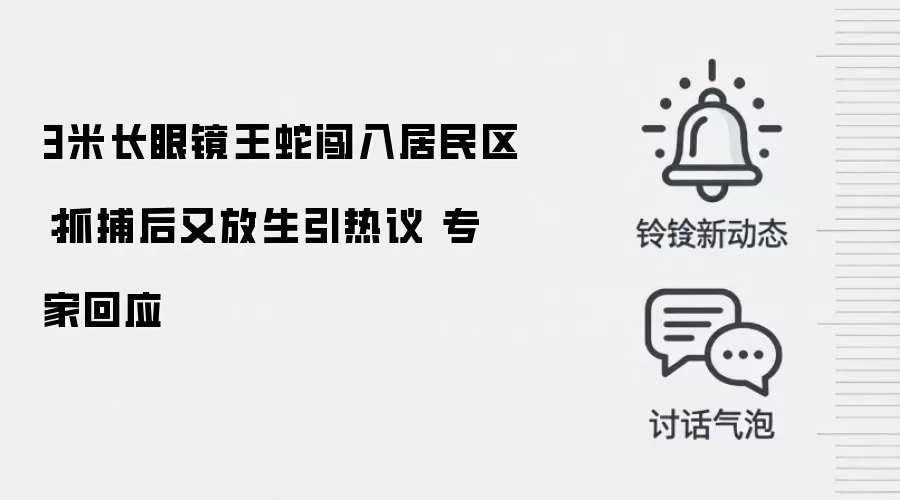 3米长眼镜王蛇闯入居民区：抓捕后又放生引热议 专家回应