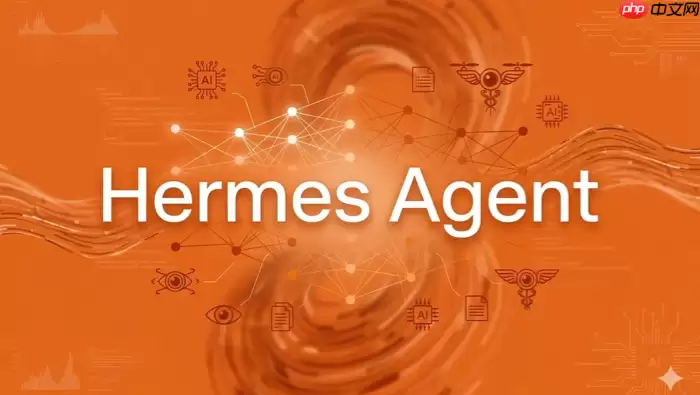HermesAgent占用多少磁盘空间_清理缓存与优化存储的实用技巧