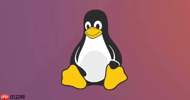 Linux怎么查看网络配置_Linux ifconfig和ip命令使用教程【基础】