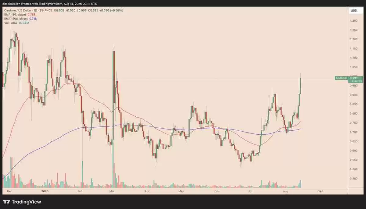 卡尔达诺（Cardano）分析师预测：未来数周或将迎来150%的“强势牛市反弹”