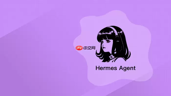 Hermes Agent启动太慢怎么办_Hermes Agent启动速度优化【启动】