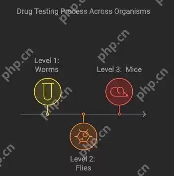 Pump.Science是什么 Pump.Science值得购买吗 - php中文网