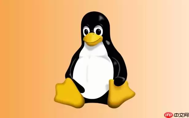 Linux怎么查看磁盘的扇区大小 Linux下blockdev --getss详解