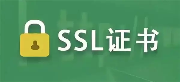 SSL 证书服务商怎么选？企业数字信任正规机构速览
