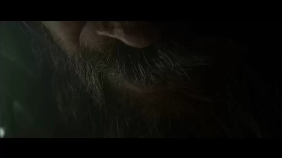 《暗黑破坏神4：憎恨之王》开场CG动画 中文配音
