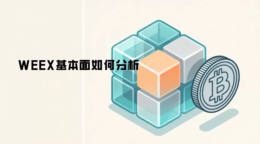 WEEX基本面如何分析