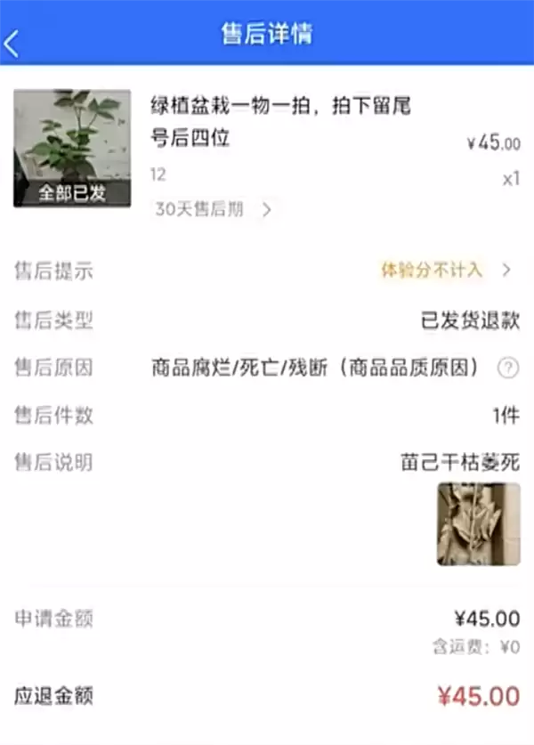 新店刚卖12单遇买家AI改图白嫖 平台裁定批准申请 老板心凉退店