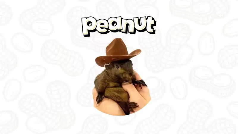 松鼠币（PNUT）能否突破10美元？PNUT价格预测解析 - php中文网