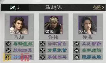 三国天下归心虎痴索命队阵容推荐 虎痴索命队阵容搭配攻略