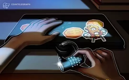 bsv5l是什么币