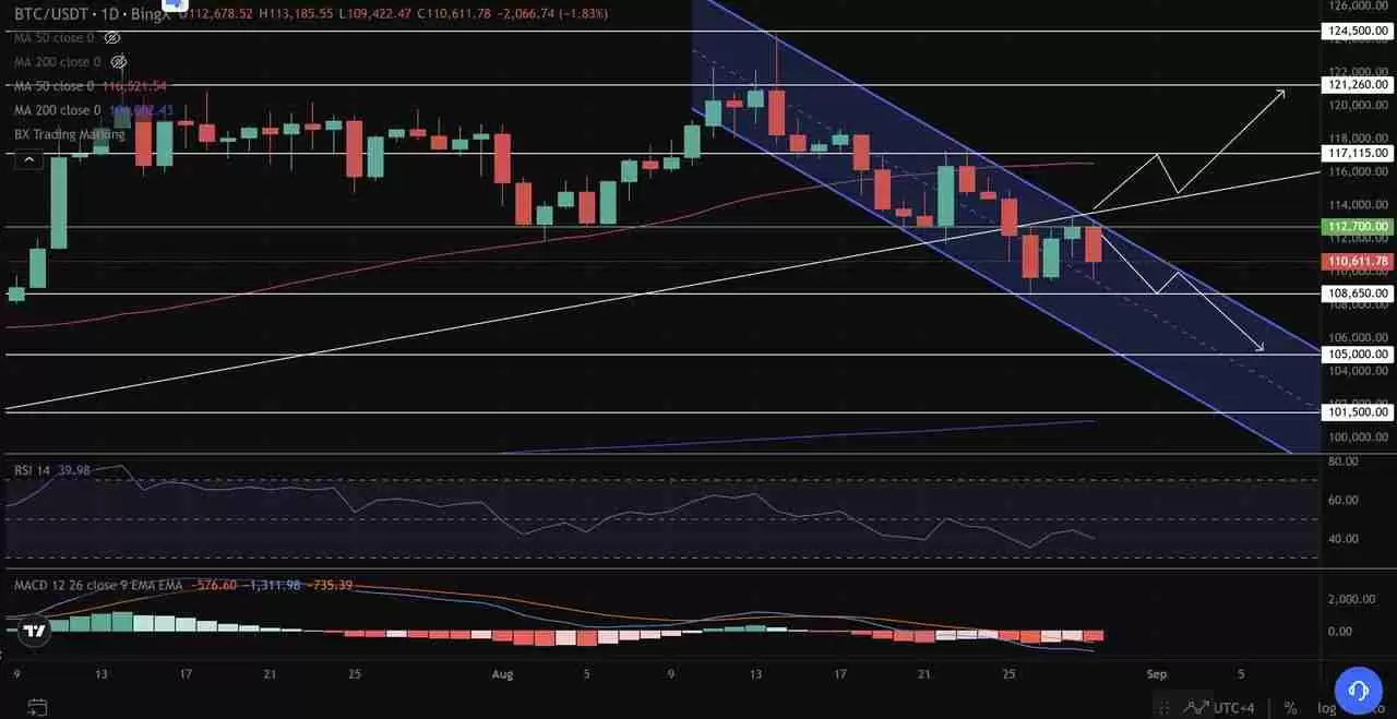 比特币达$11万，核心通膨2.9%：BTC 会突破通道吗？