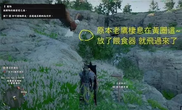 红色沙漠老鹰怎么抓-老鹰抓捕教程 红色沙漠老鹰怎么抓-老鹰抓捕教程