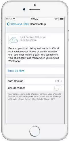 WhatsApp手动备份设置界面