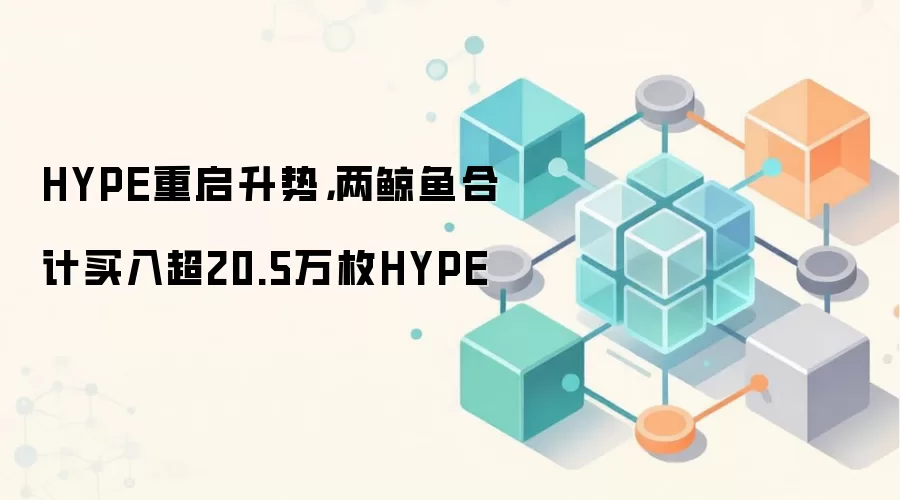 HYPE重启升势，两鲸鱼合计买入超20.5万枚HYPE