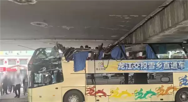 突发！哈尔滨双层巴士被高架桥削顶 官方通报：司机疏忽所致
