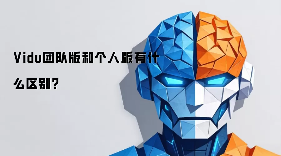 Vidu团队版和个人版有什么区别?