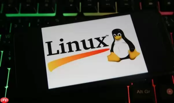 Python 3.13怎么在Linux上编译安装 Python最新版特性与环境详解