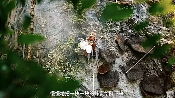 以科技致敬劳作，凯迪仕 i60 Ultra AI 智能锁携手影视飓风见证自然与坚守