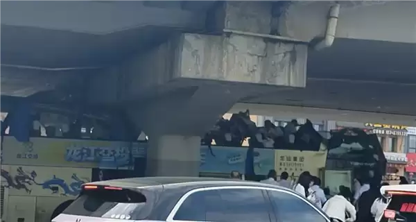 突发！哈尔滨双层巴士被高架桥削顶 官方通报：司机疏忽所致