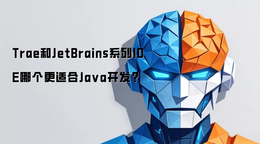 Trae和JetBrains系列IDE哪个更适合Ja va开发？