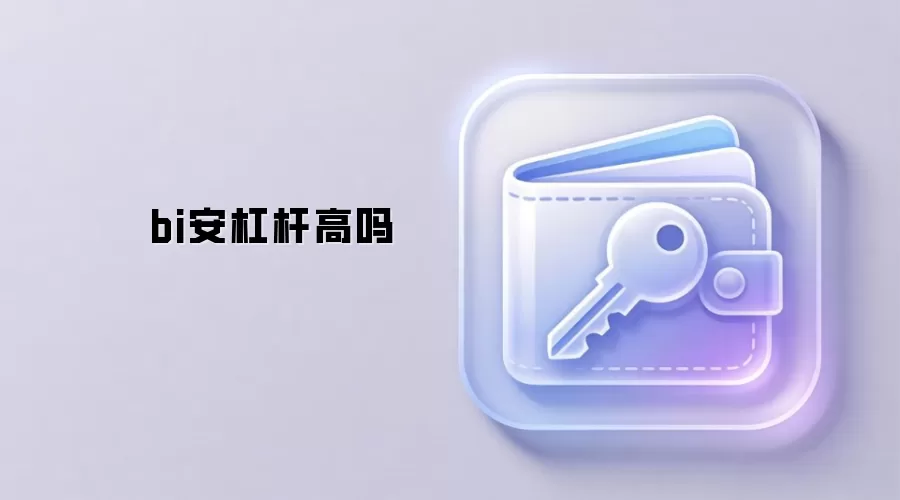 bi安杠杆高吗