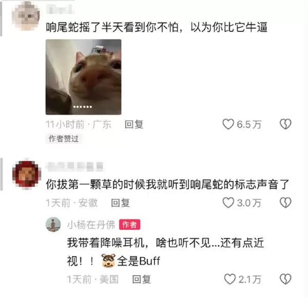 网友被AI骗去毒蛇窝徒步:三次与响尾蛇擦肩而过