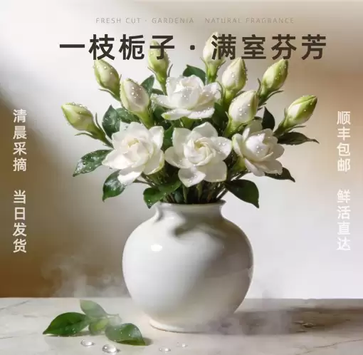 堆友Agent实测：AI一句话生成商业级电商设计海报