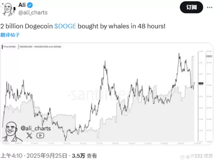 鲸鱼两天狂扫20亿DOGE！狗狗币要暴涨800%还是崩盘见血？ - php中文网