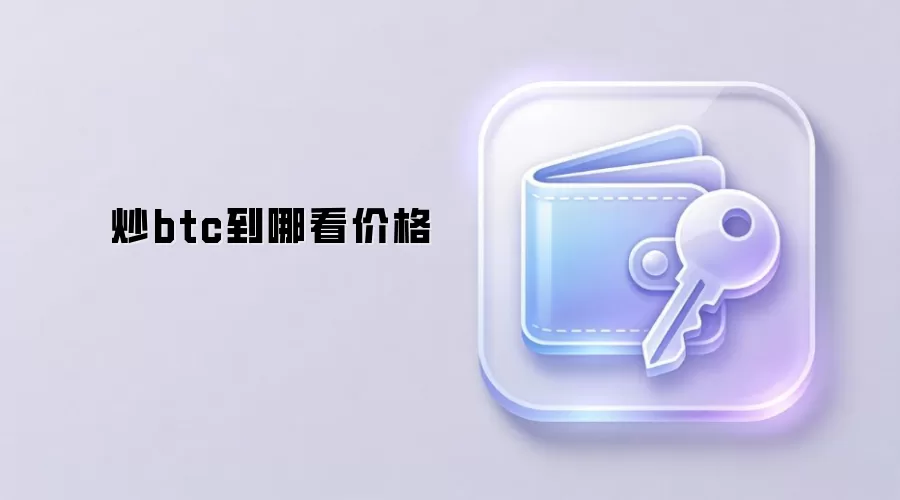 炒btc到哪看价格