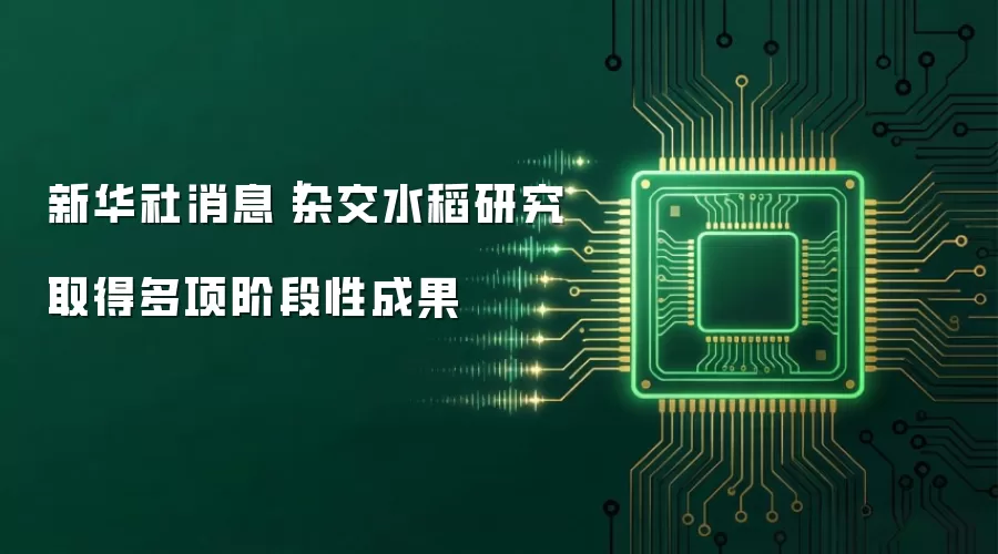 新华社消息|杂交水稻研究取得多项阶段性成果