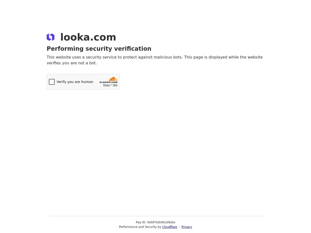 Looka-Looka是一款使用大数据和人工智能技术设计专业进行logo设计