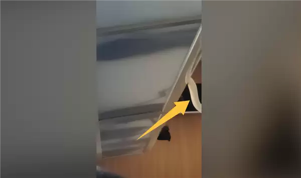 虚惊一场!网传高铁行李架上掉下蛇 官方辟谣:其实是鳗鱼