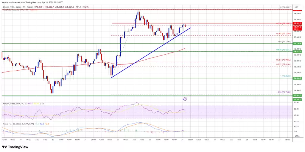 比特币BTC/USD小时图技术分析走势图