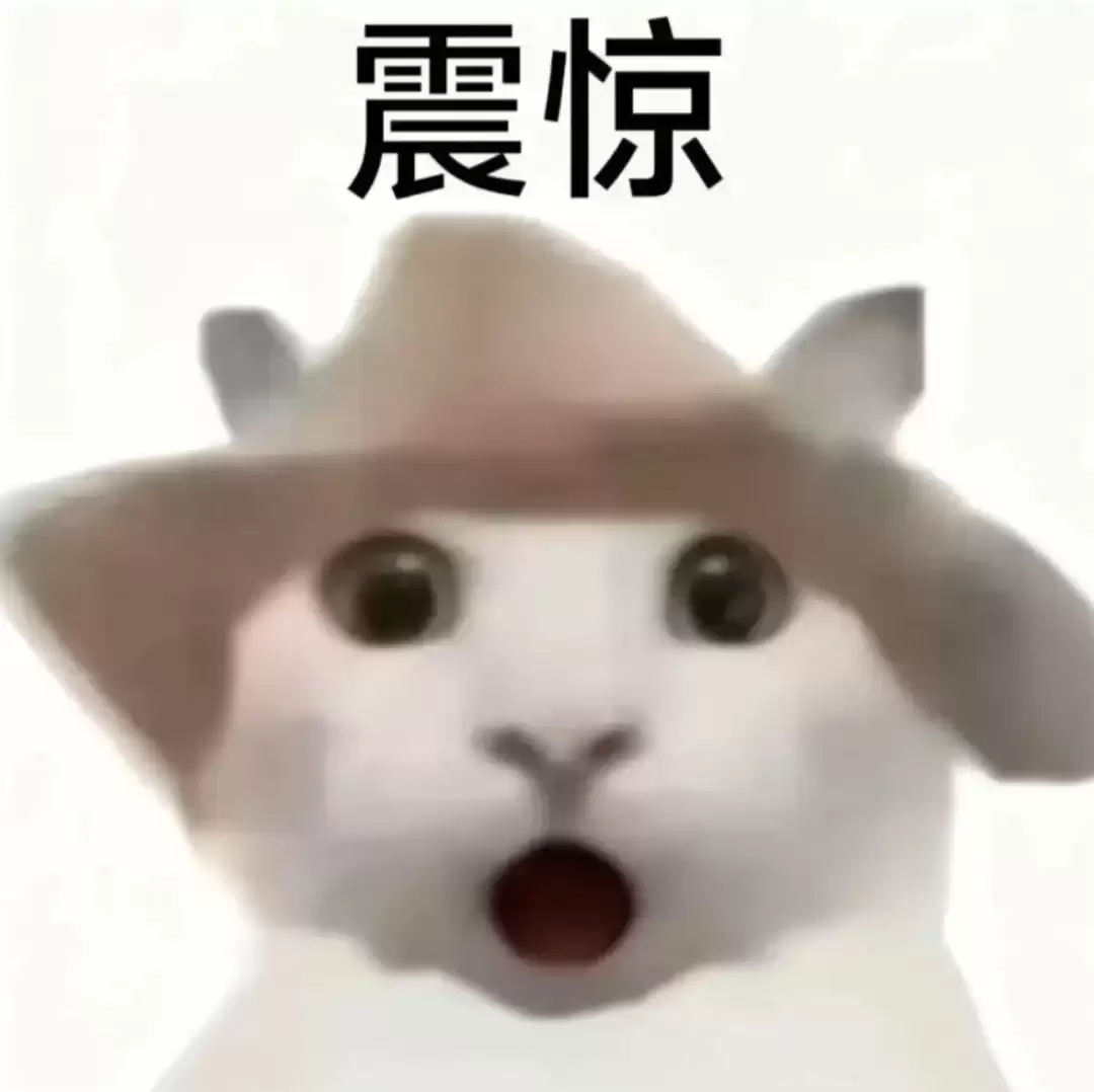 那么请你告诉我,到底什么才是真的?
