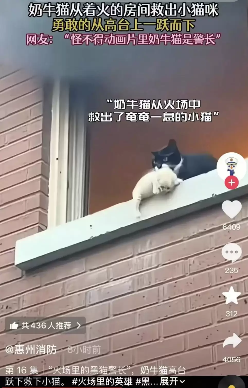 那么请你告诉我,到底什么才是真的?