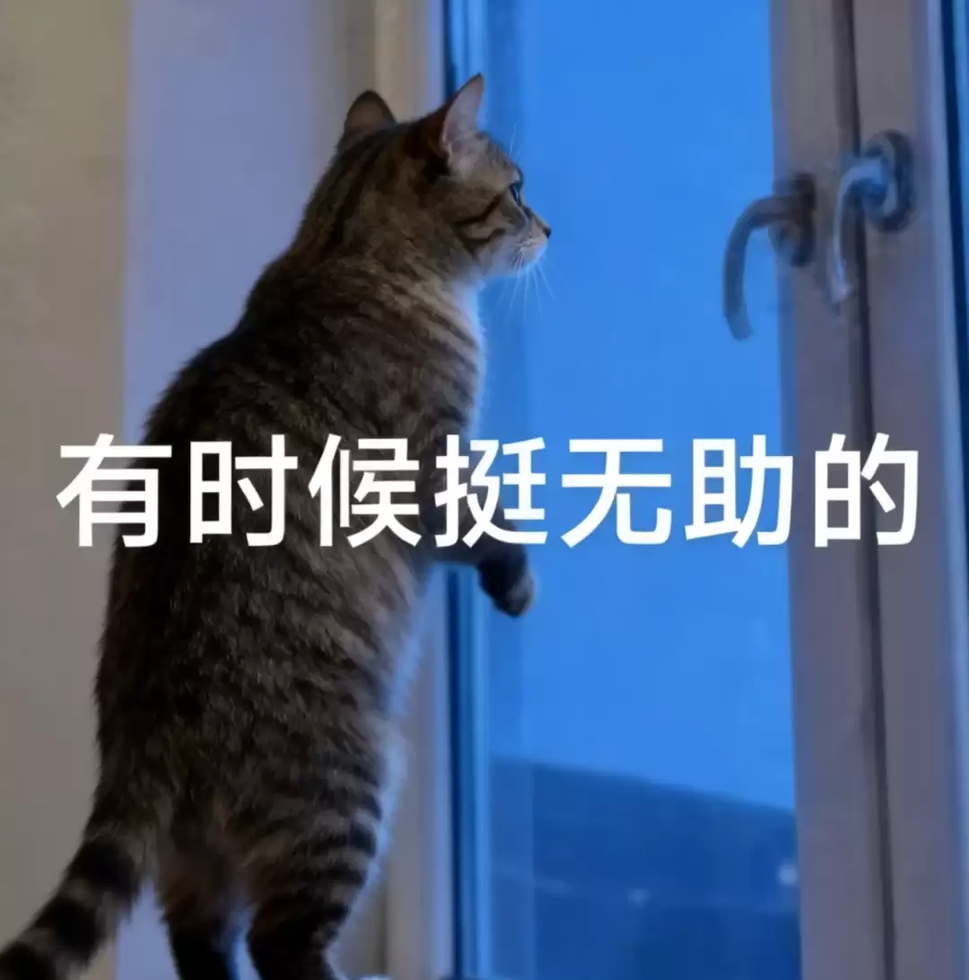 国产Agent模型闯入全球第一梯队!限时免费