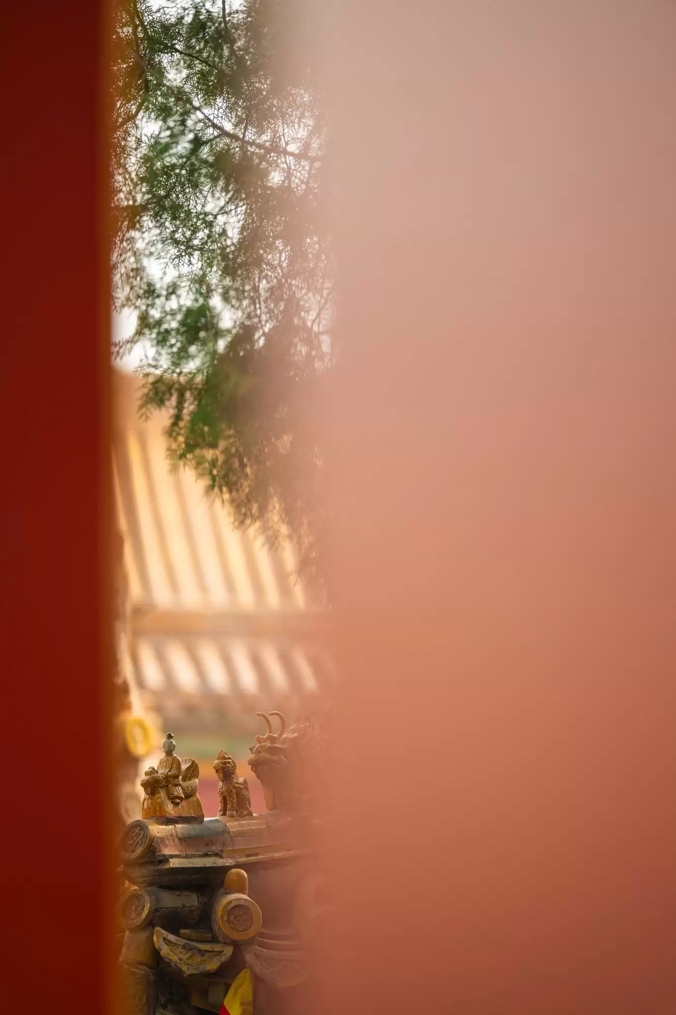 中长焦大三元镜头推荐:尼康尼克尔 Z 70 - 200mm f/2.8 VR S II