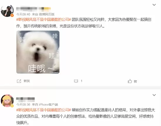 影视飓风是不是中国最酷的公司 残酷淘汰率引热议